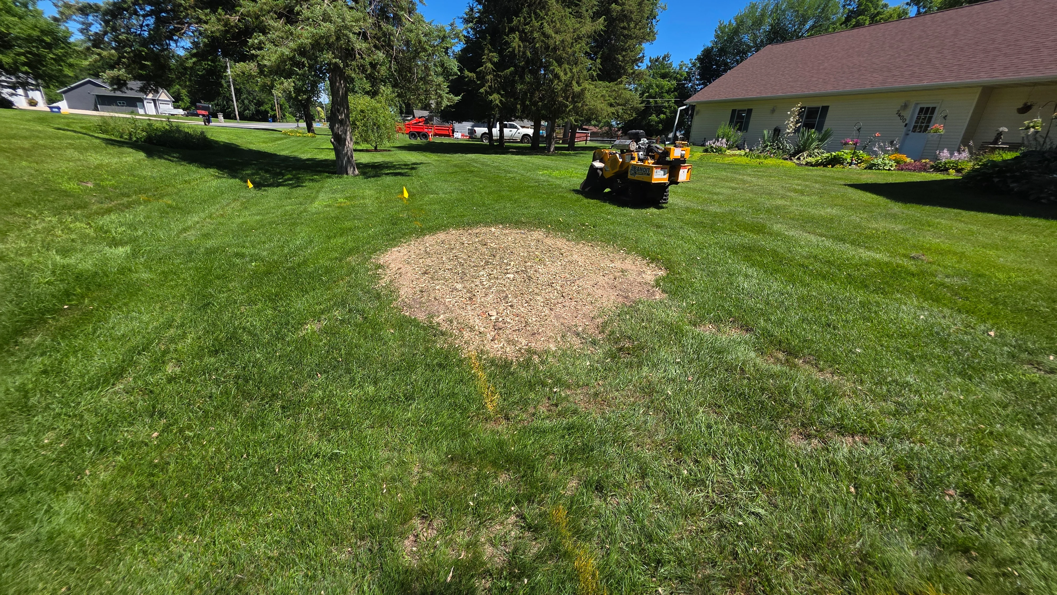 Freshly ground stump site with gravel fill on residential lawn, equipment and crew visible in background