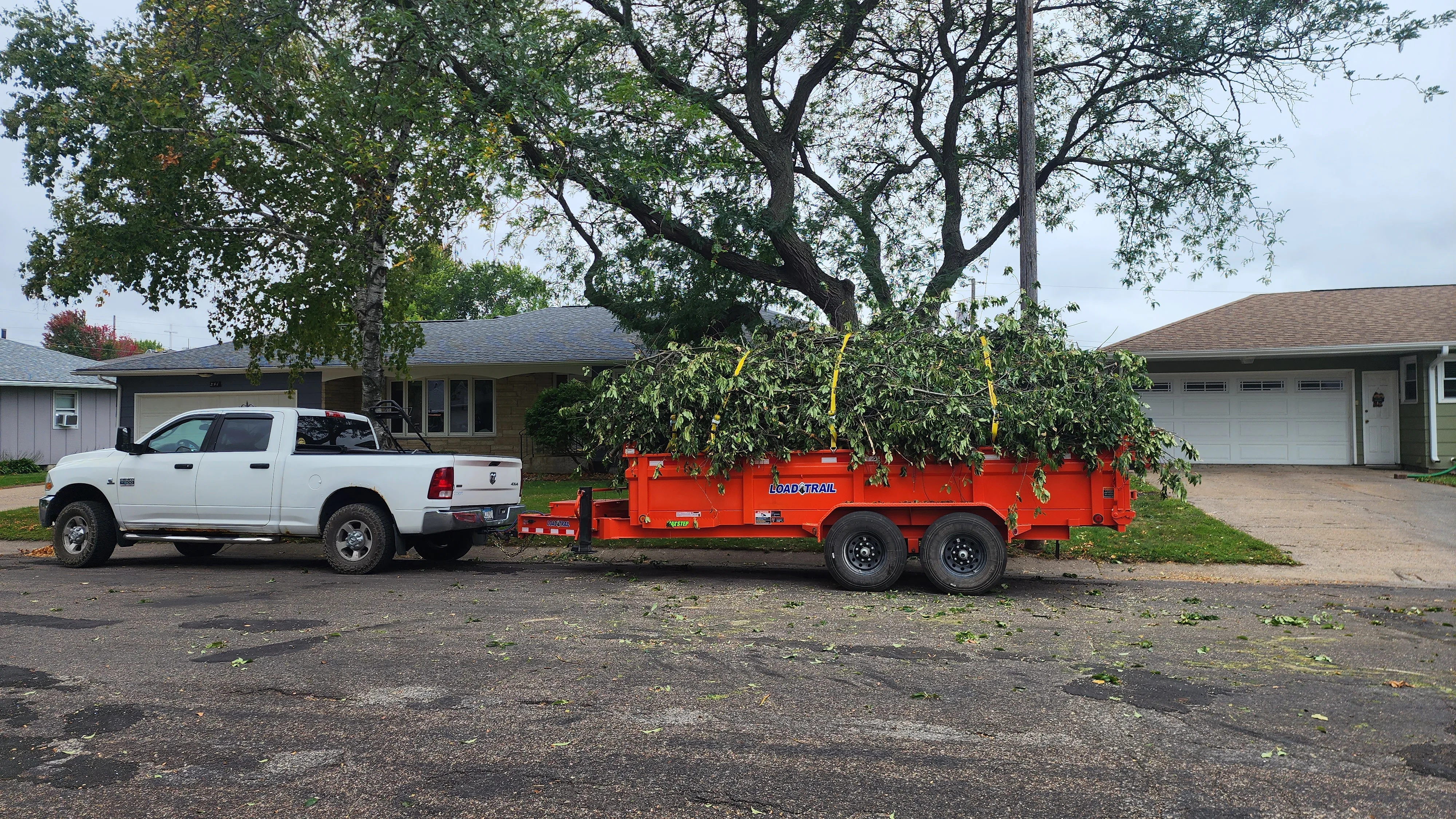 White pickup truck towing red dump trailer loaded with tree branches and debris from residential tree removal