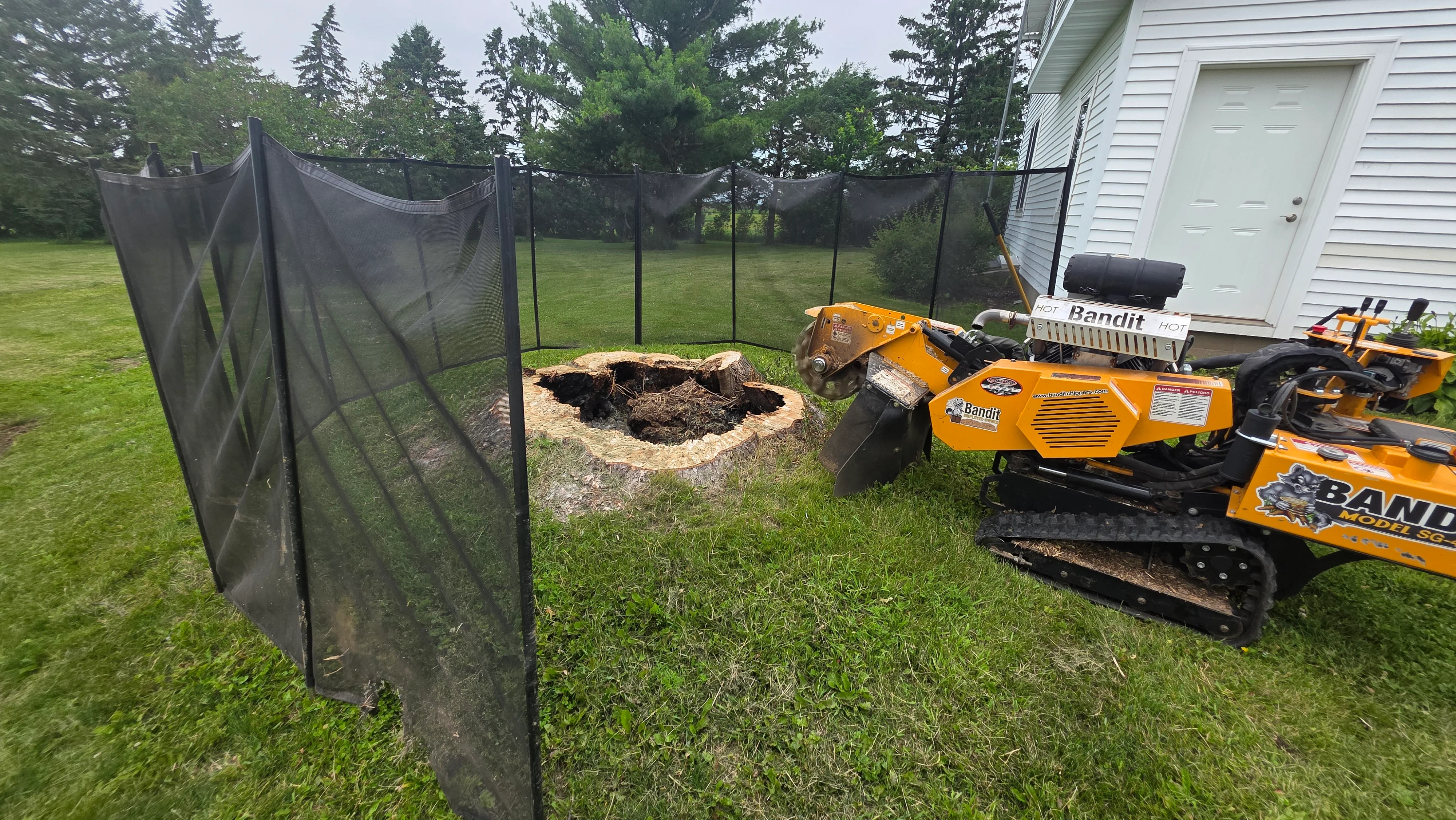 Stump grinding work with safety fencing, wood chips, and professional tree removal equipment on residential lawn