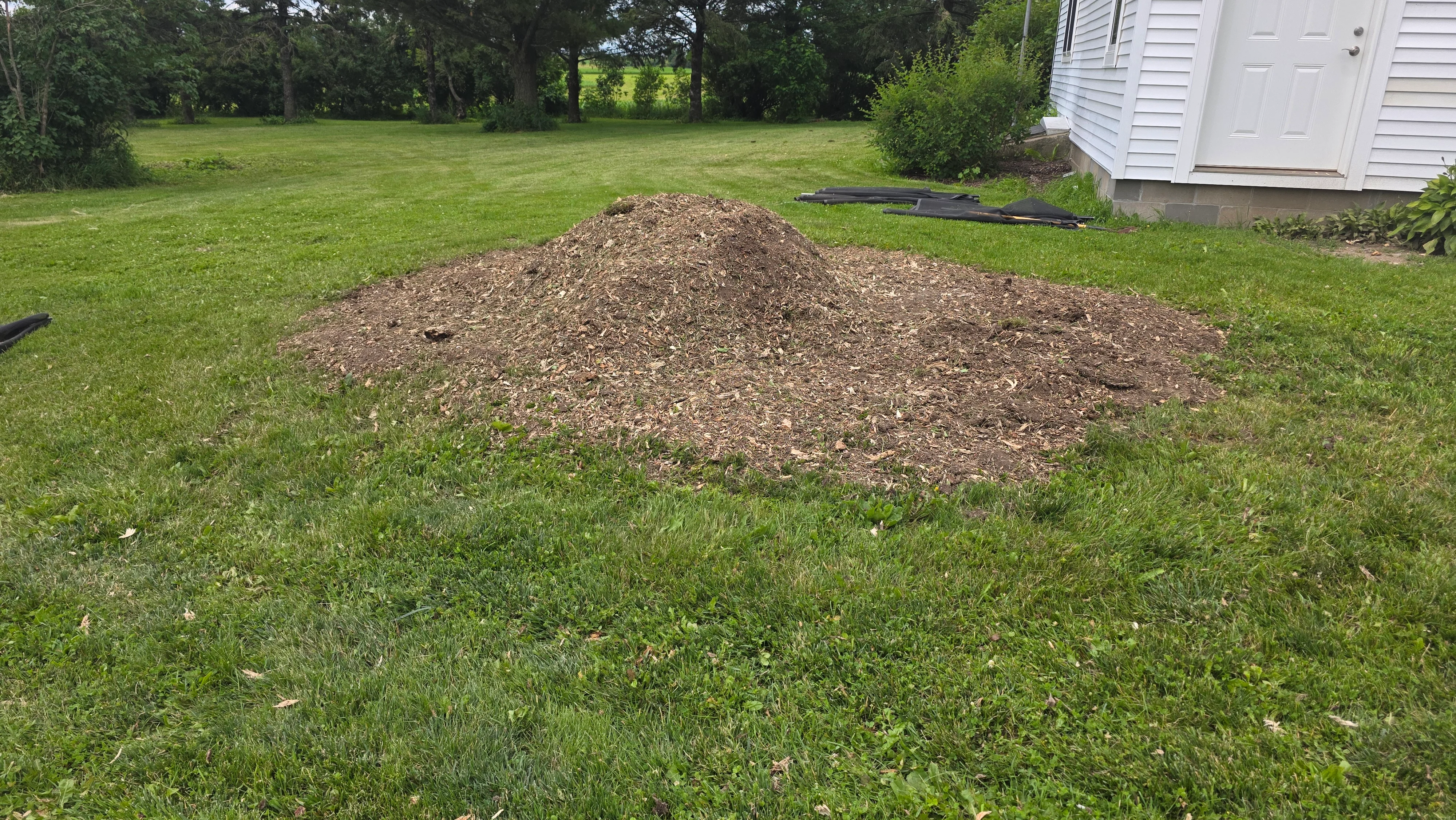 Wood chip mulch pile on residential lawn with landscape fabric and shed visible