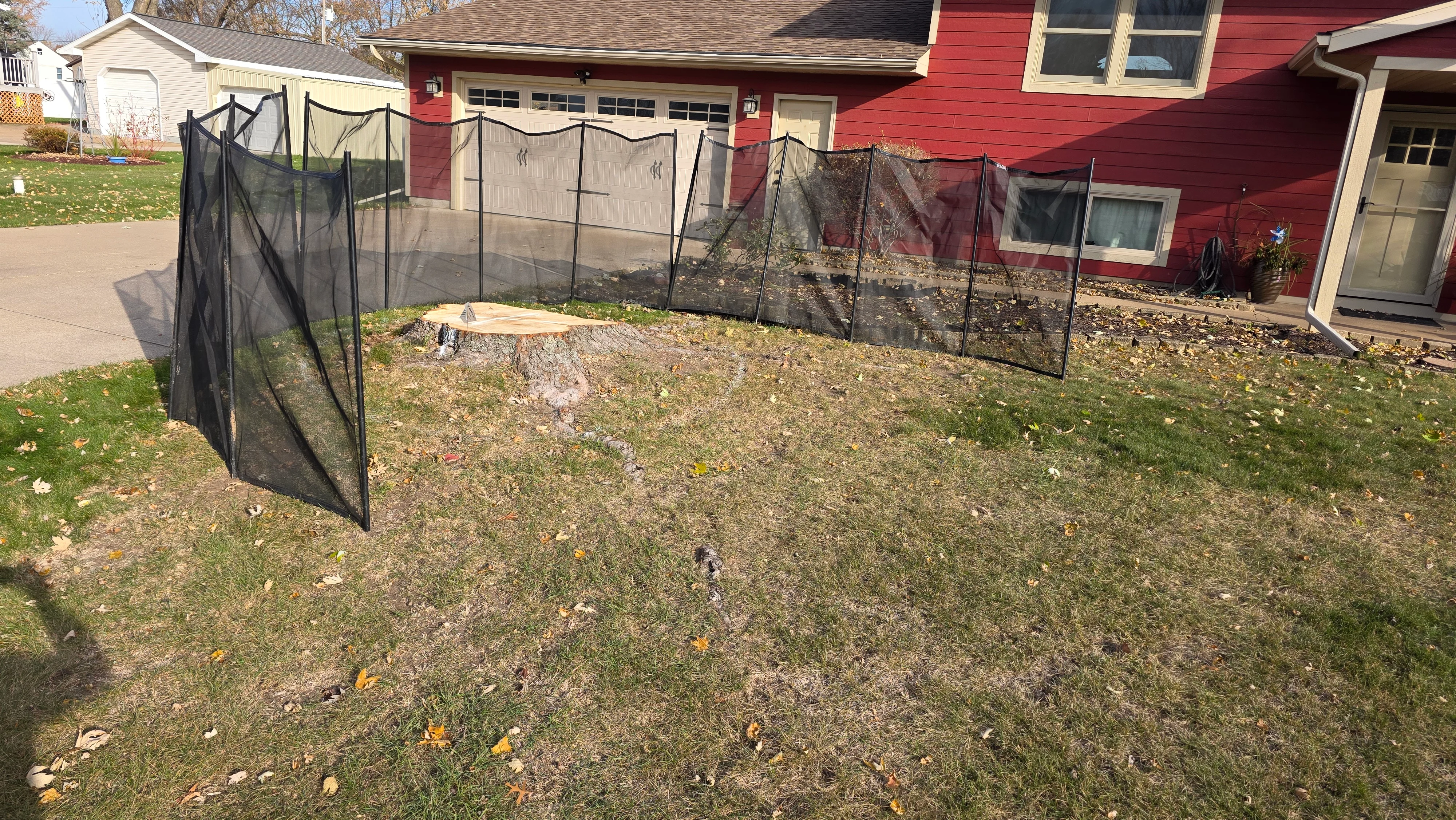Backyard with freshly ground tree stump and black safety fencing around work area