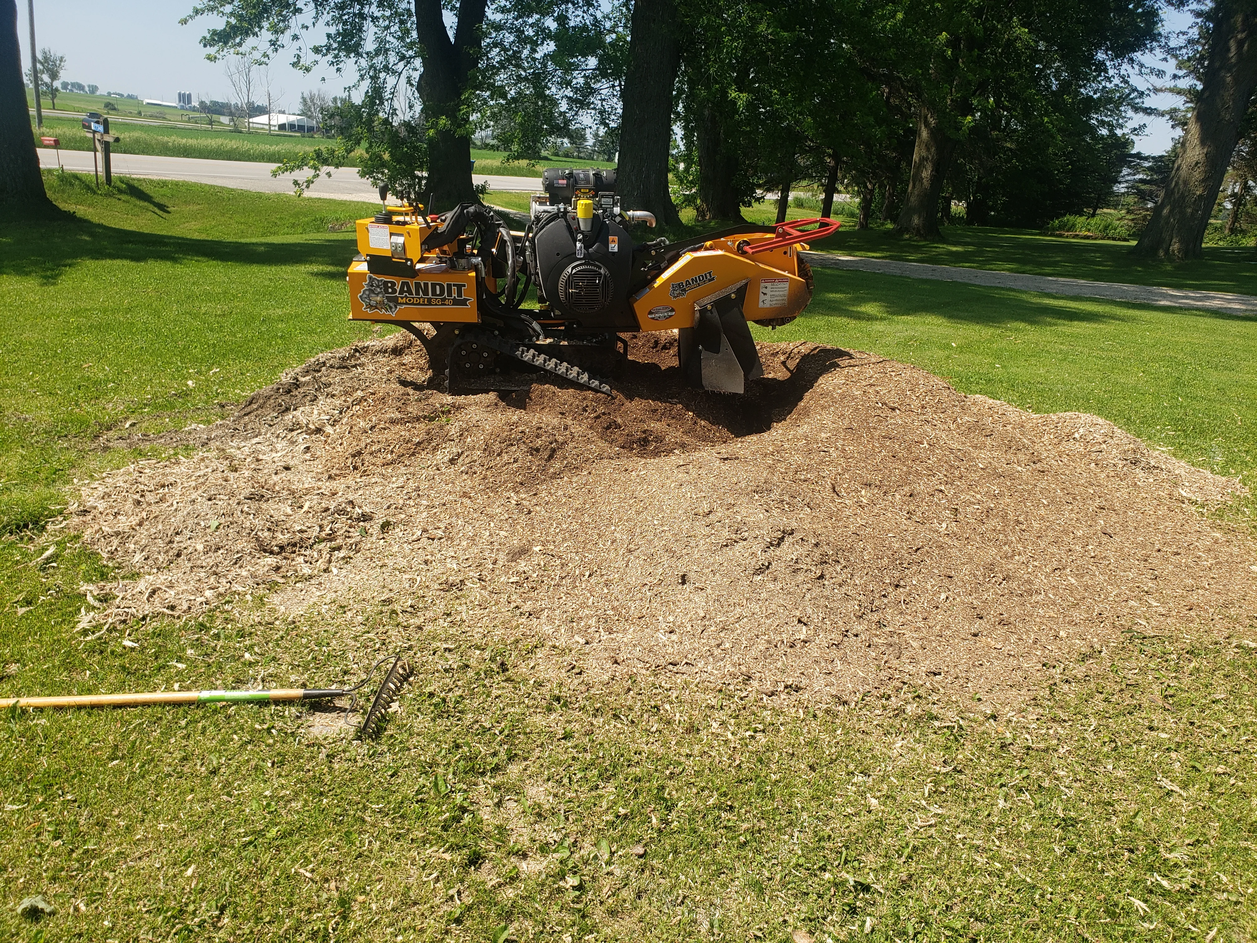 Bandit stump grinder processing large tree stump with wood chips and debris on lawn