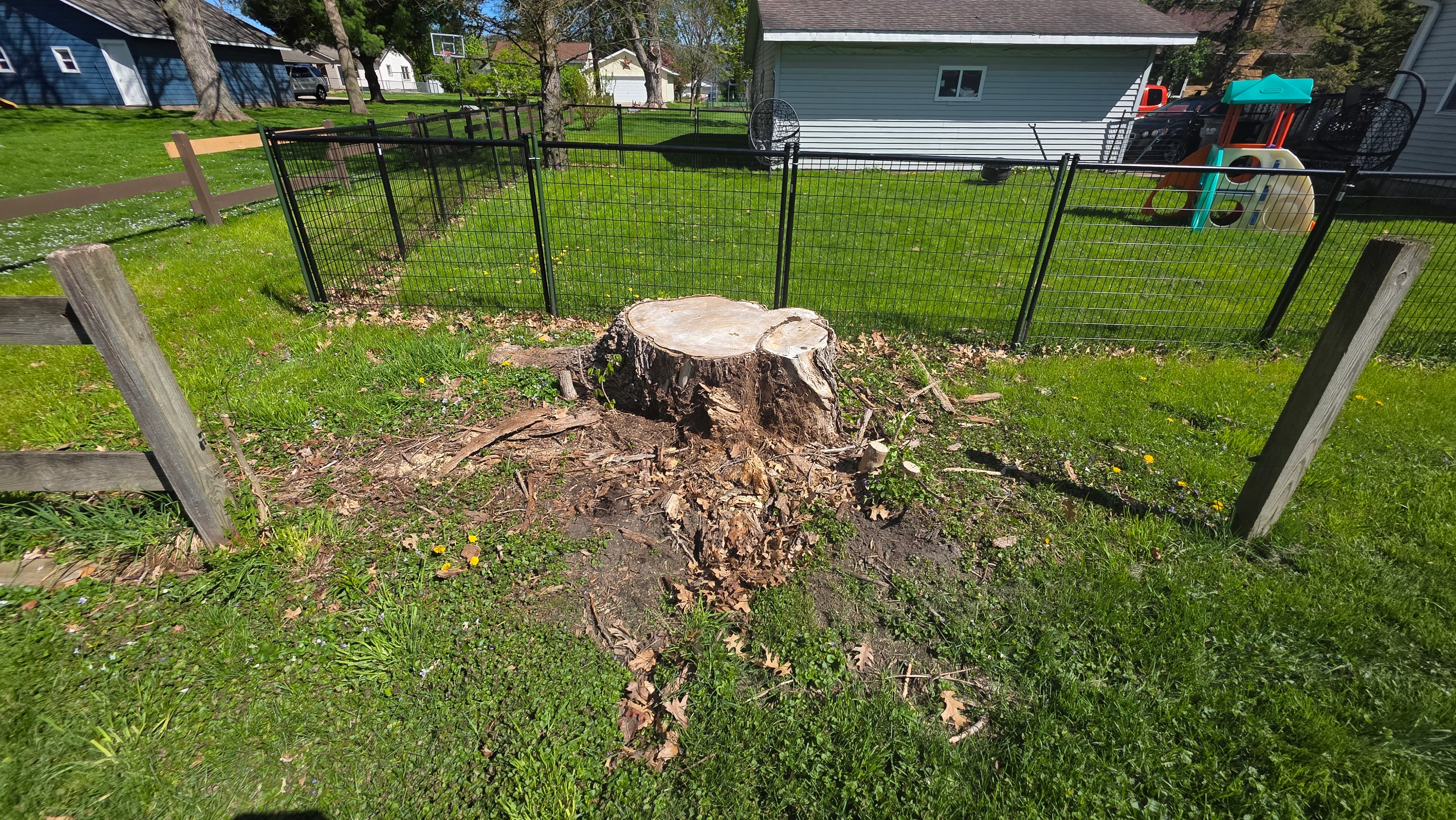 Freshly removed tree stump with exposed roots and soil in residential yard with metal fencing