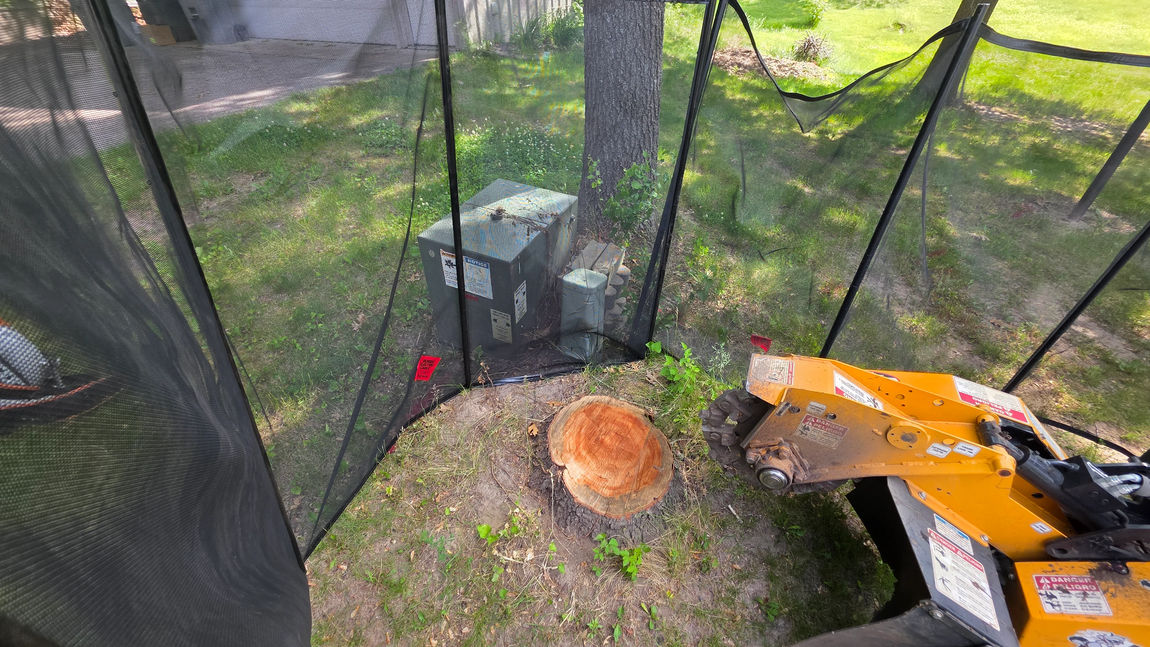 Tree stump grinding with yellow grinder machine and freshly ground stump in backyard