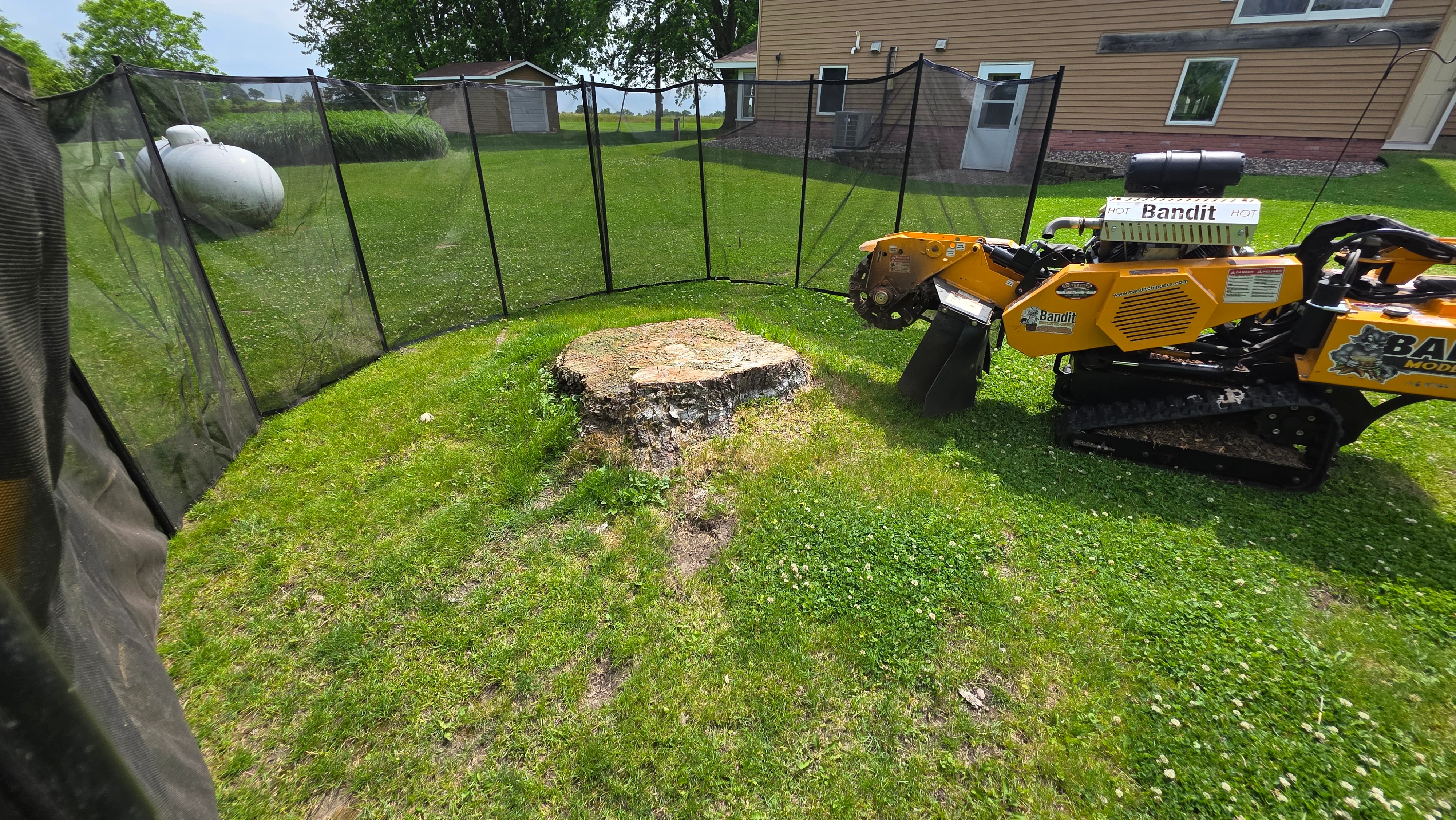Large tree stump ground level in grassy yard with professional grinding equipment nearby