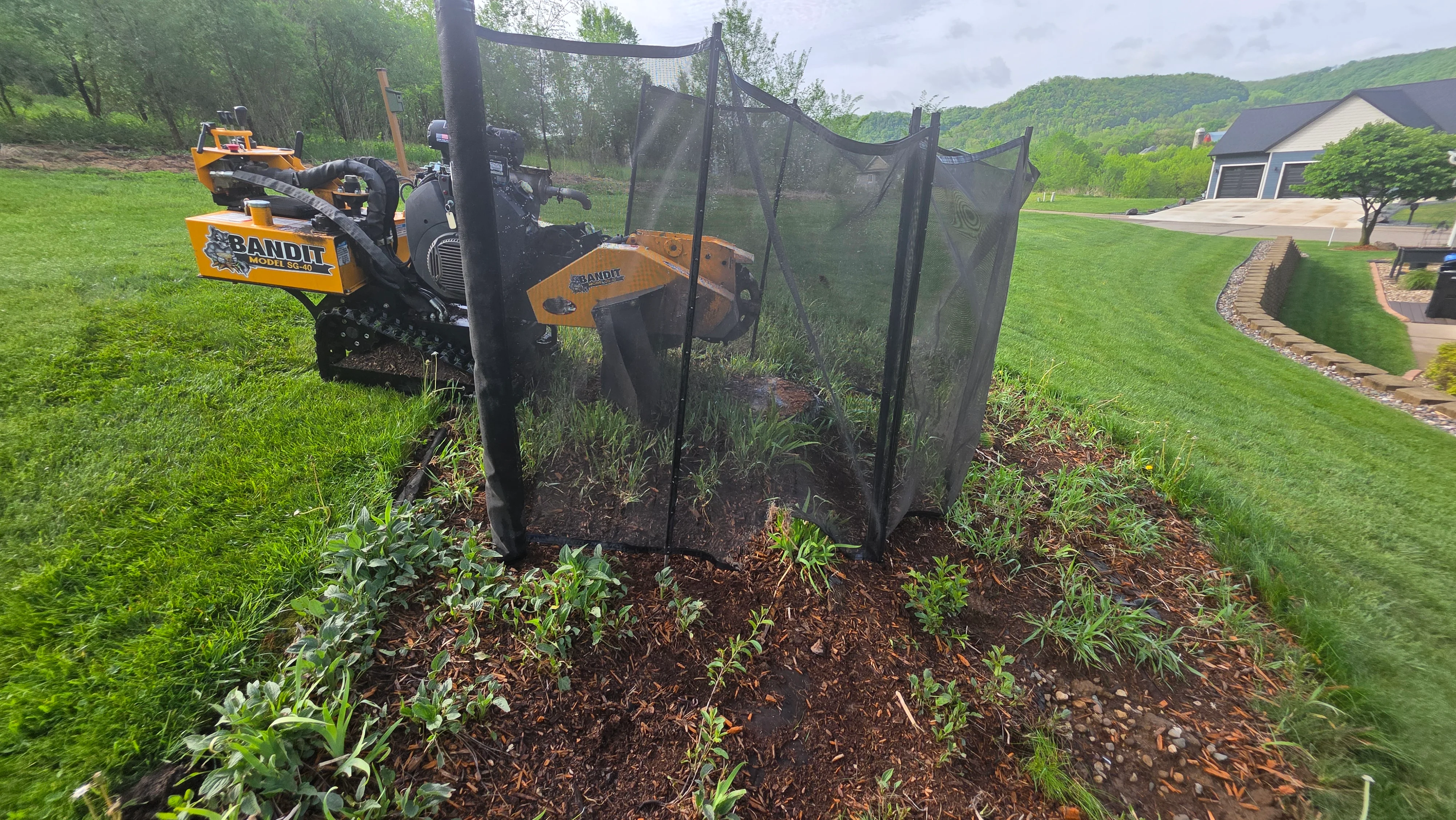 Bandit stump grinder with black containment mesh around freshly ground stump and mulch application