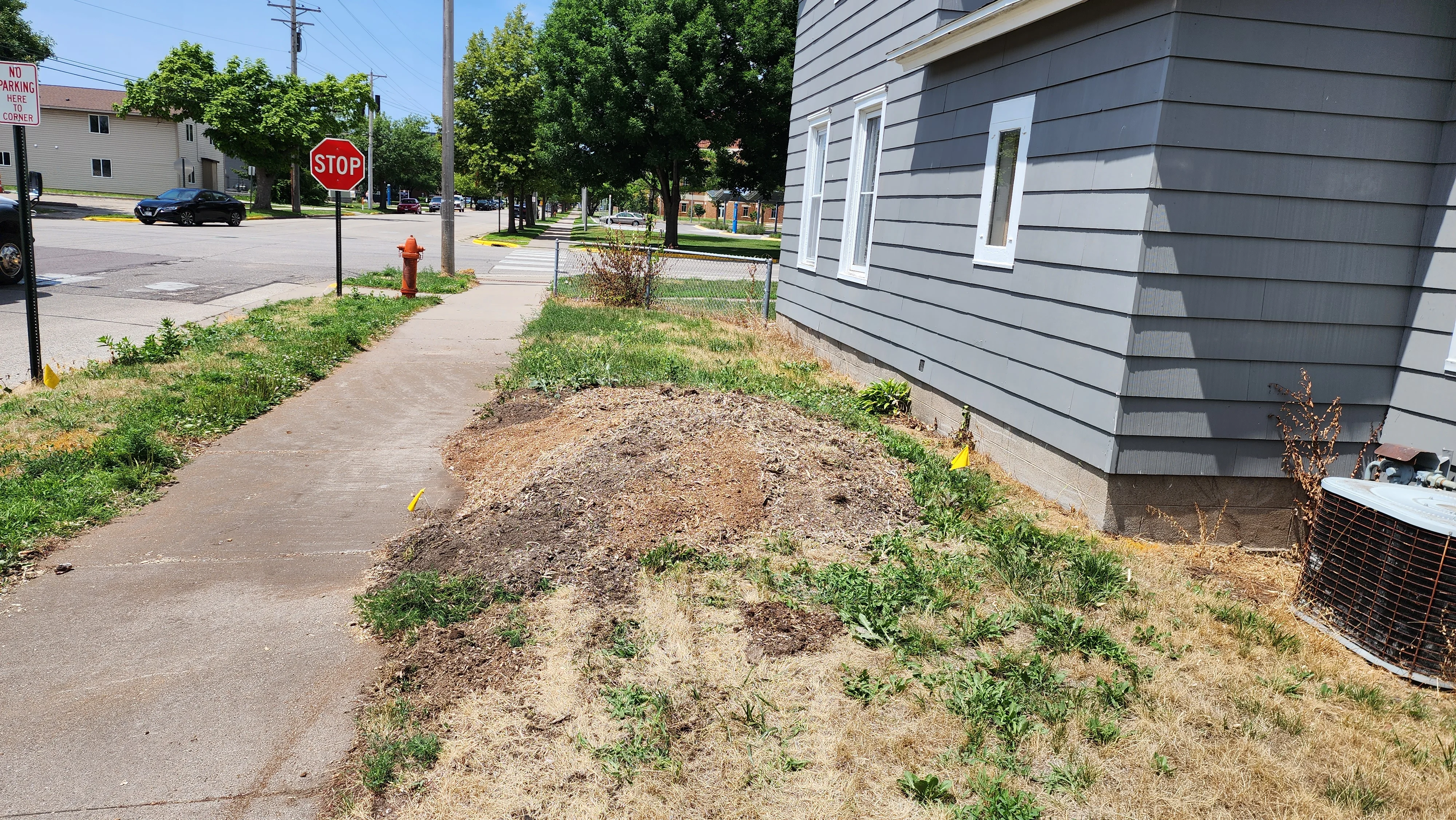 Cleared residential yard with graded soil, removed vegetation, and prepared ground near house foundation