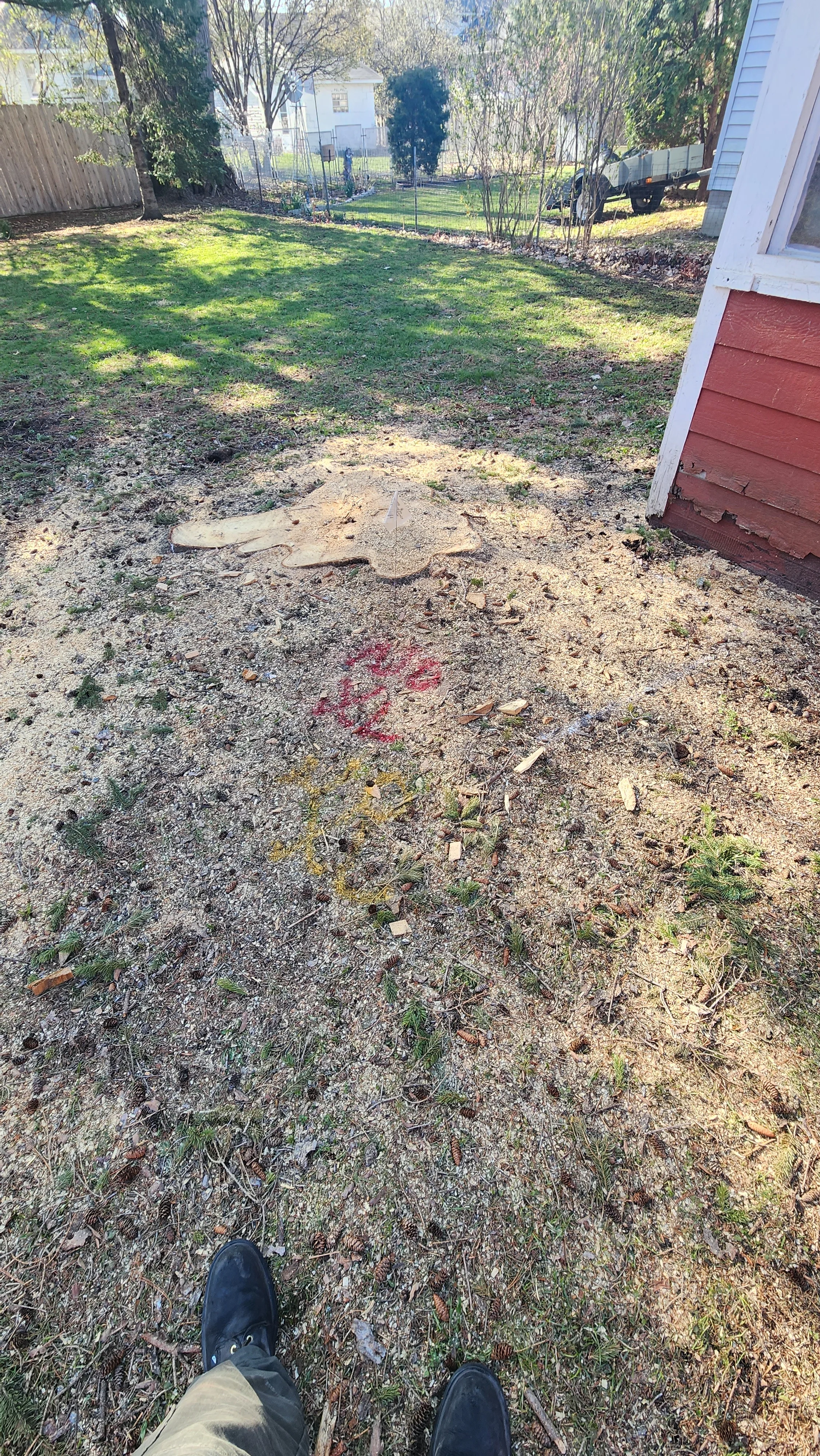 Cleared backyard with removed debris, bare soil, and prepared ground ready for landscaping