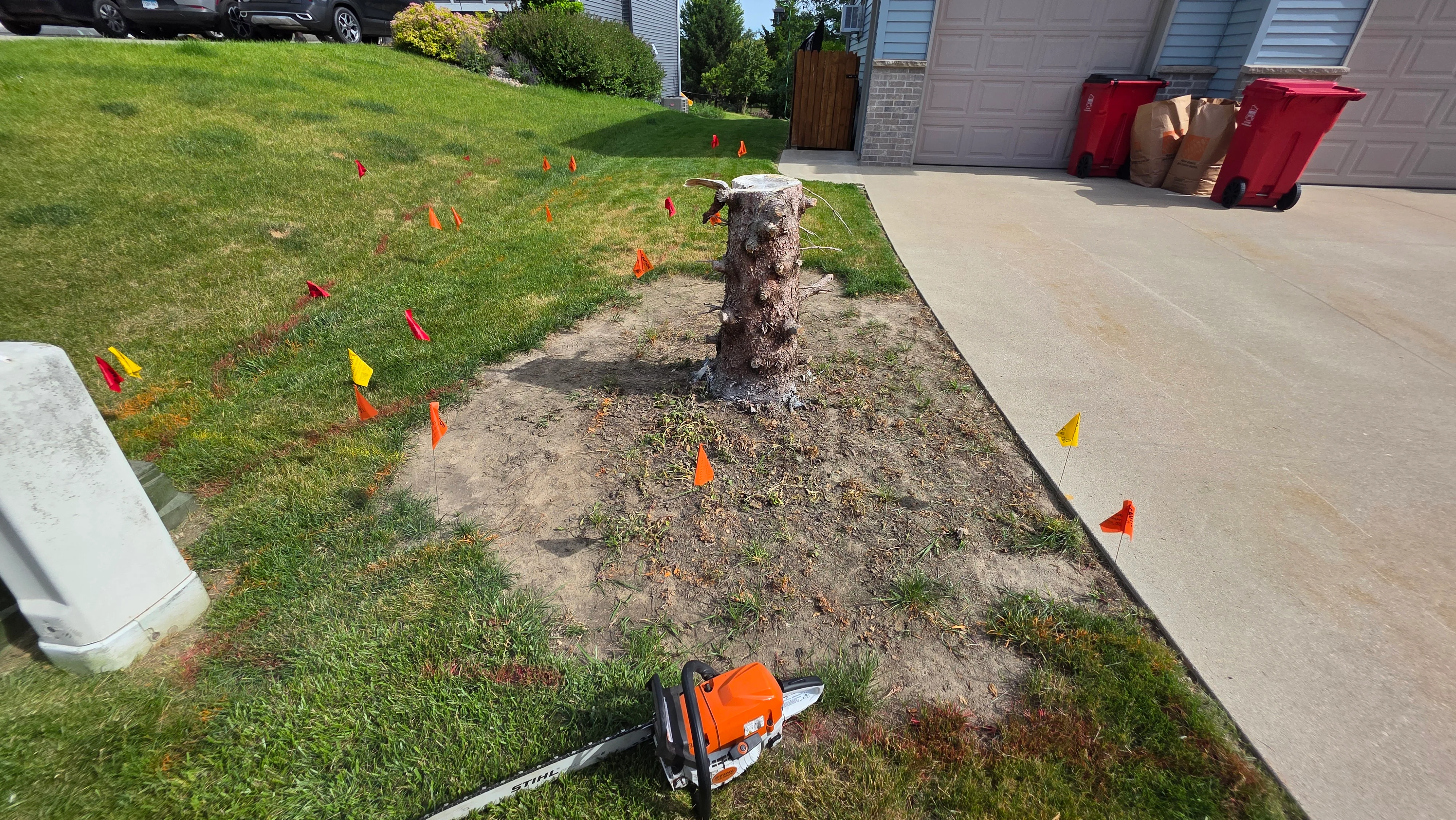 Tree stump and cleared area with safety flags marking underground utilities on residential property
