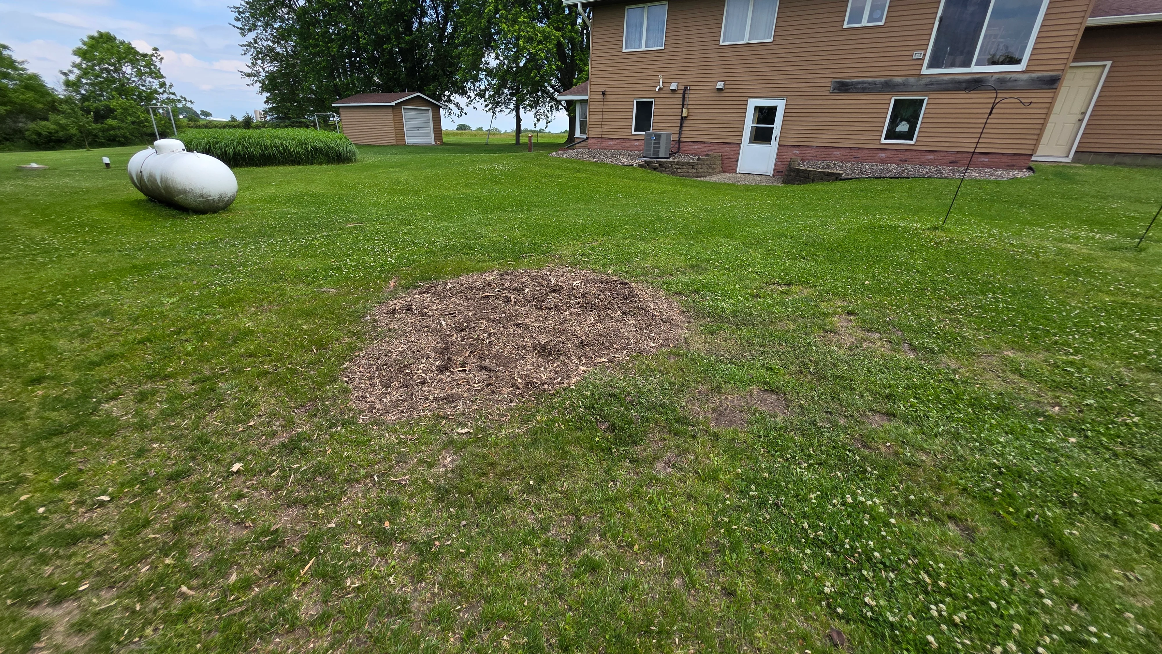 Freshly ground tree stump area with wood chips on residential lawn, house and outbuildings visible
