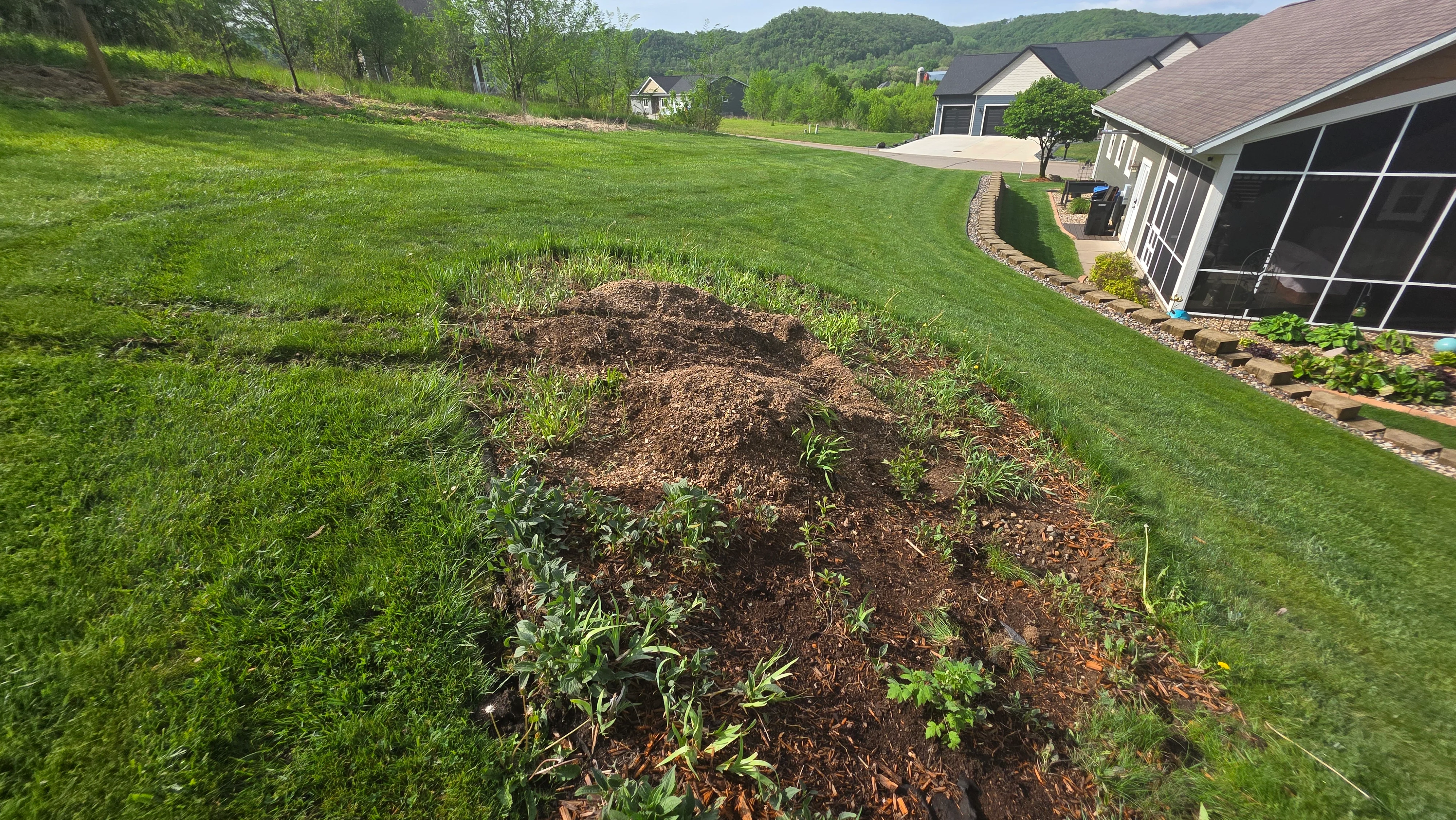 Freshly ground stump site with mulch and topsoil backfill in residential lawn