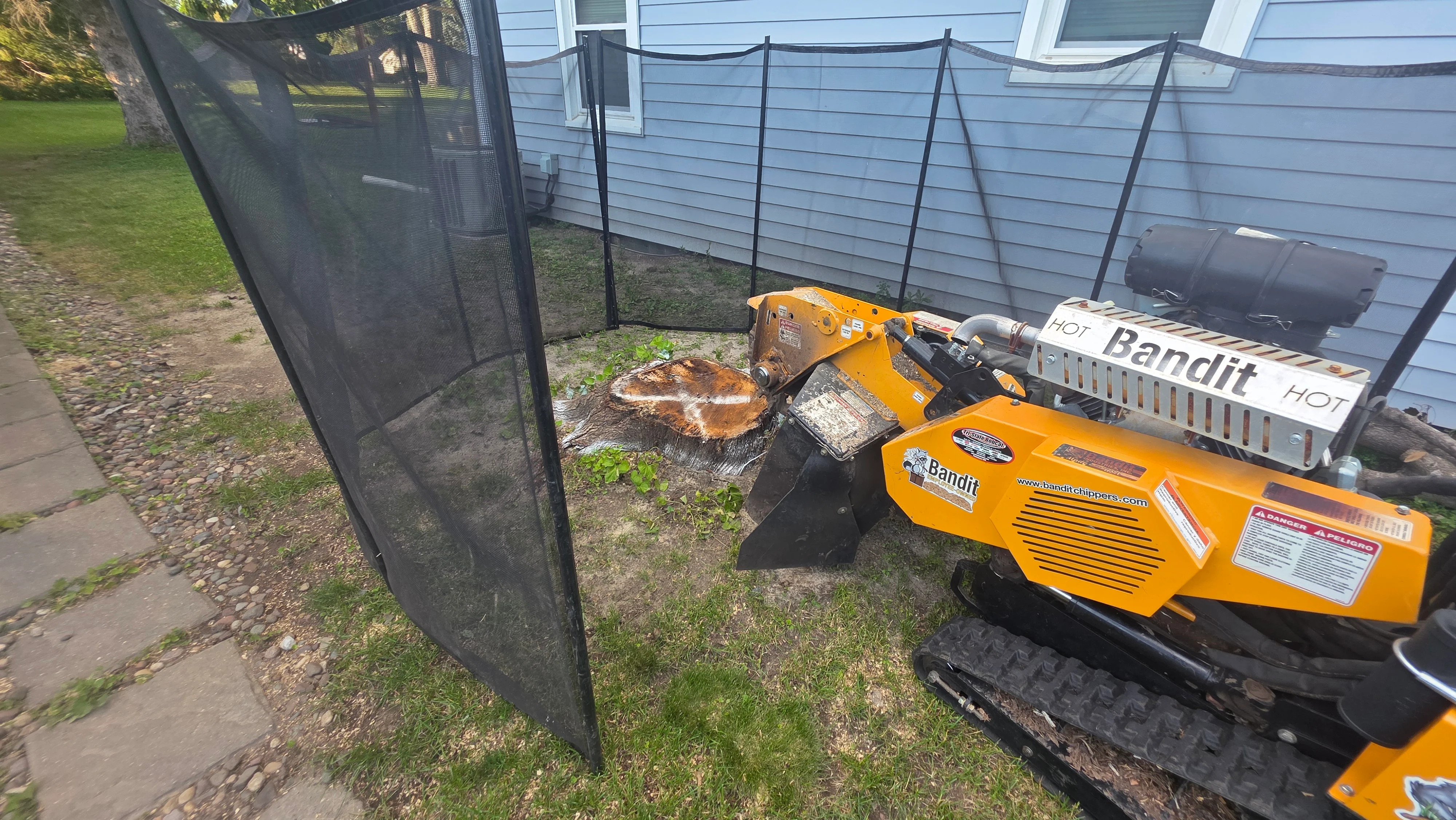 Yellow Bandit stump grinder processing large tree stump in residential yard with black safety fencing